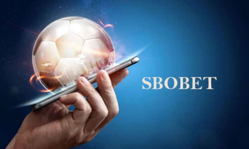 Nhận các khuyến mãi đặc biệt hấp dẫn khi chơi tại Sbobet 